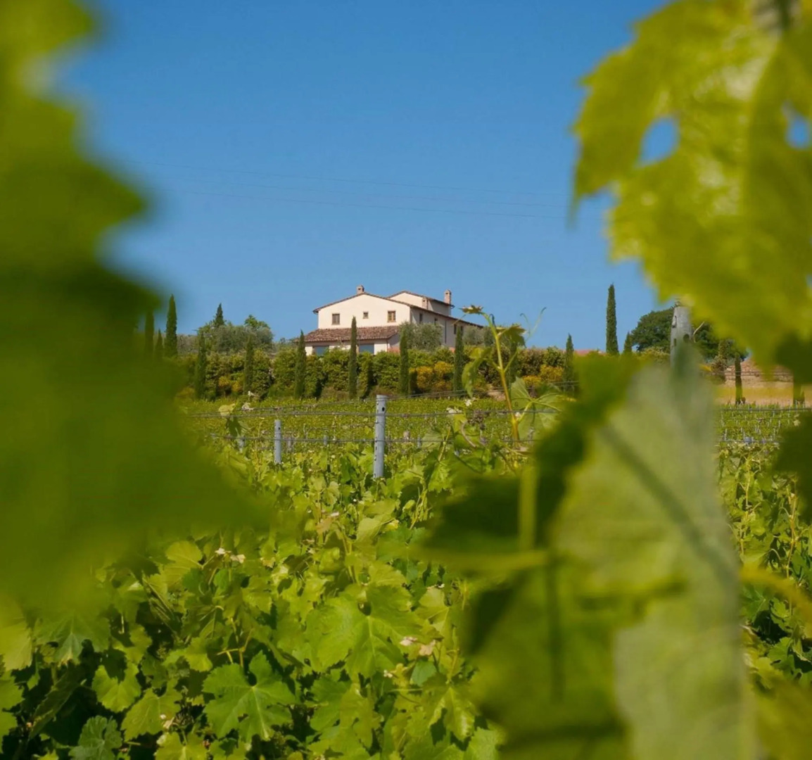 Luxury Villa With spa in Val d Orcia-villa LE Buche