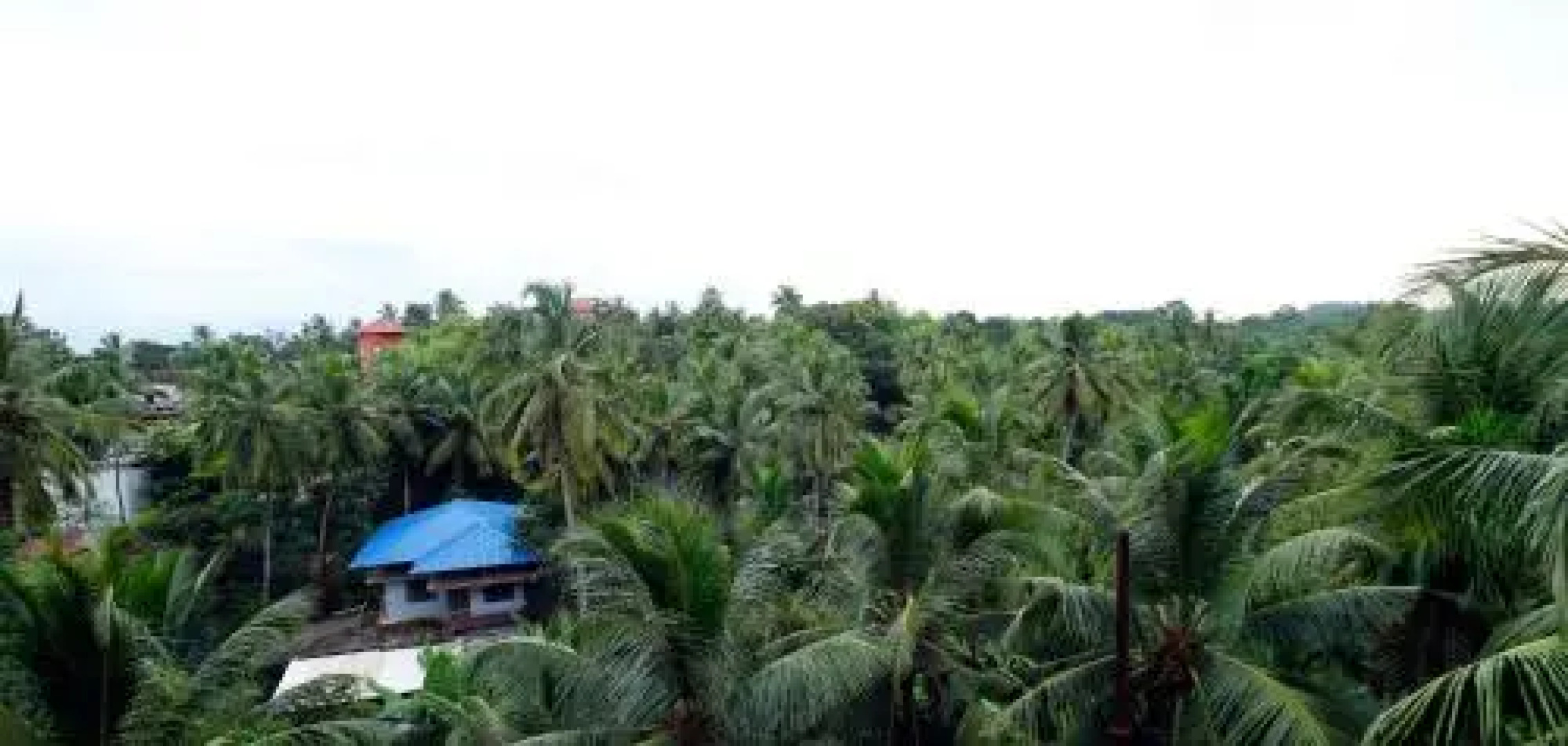 Hotel Park Residency