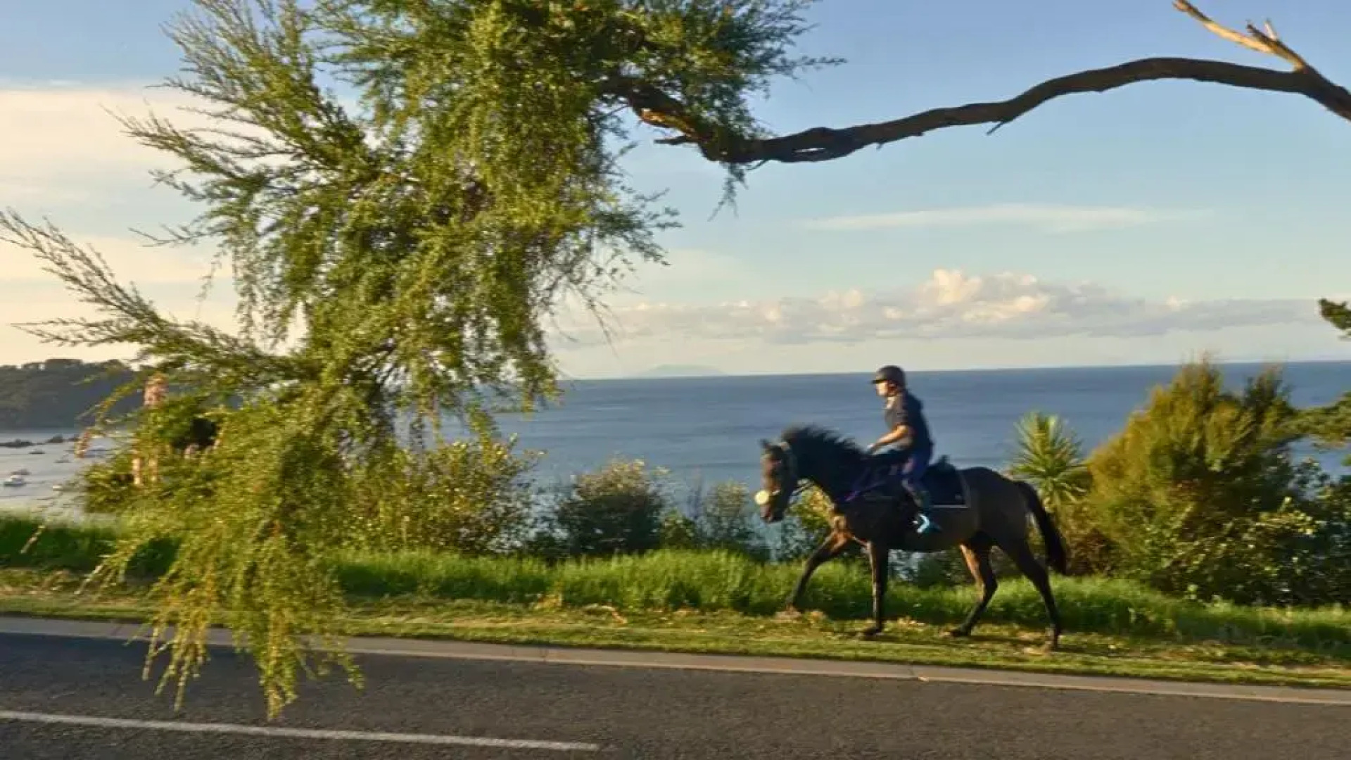 Waiheke Backpackers Hostel