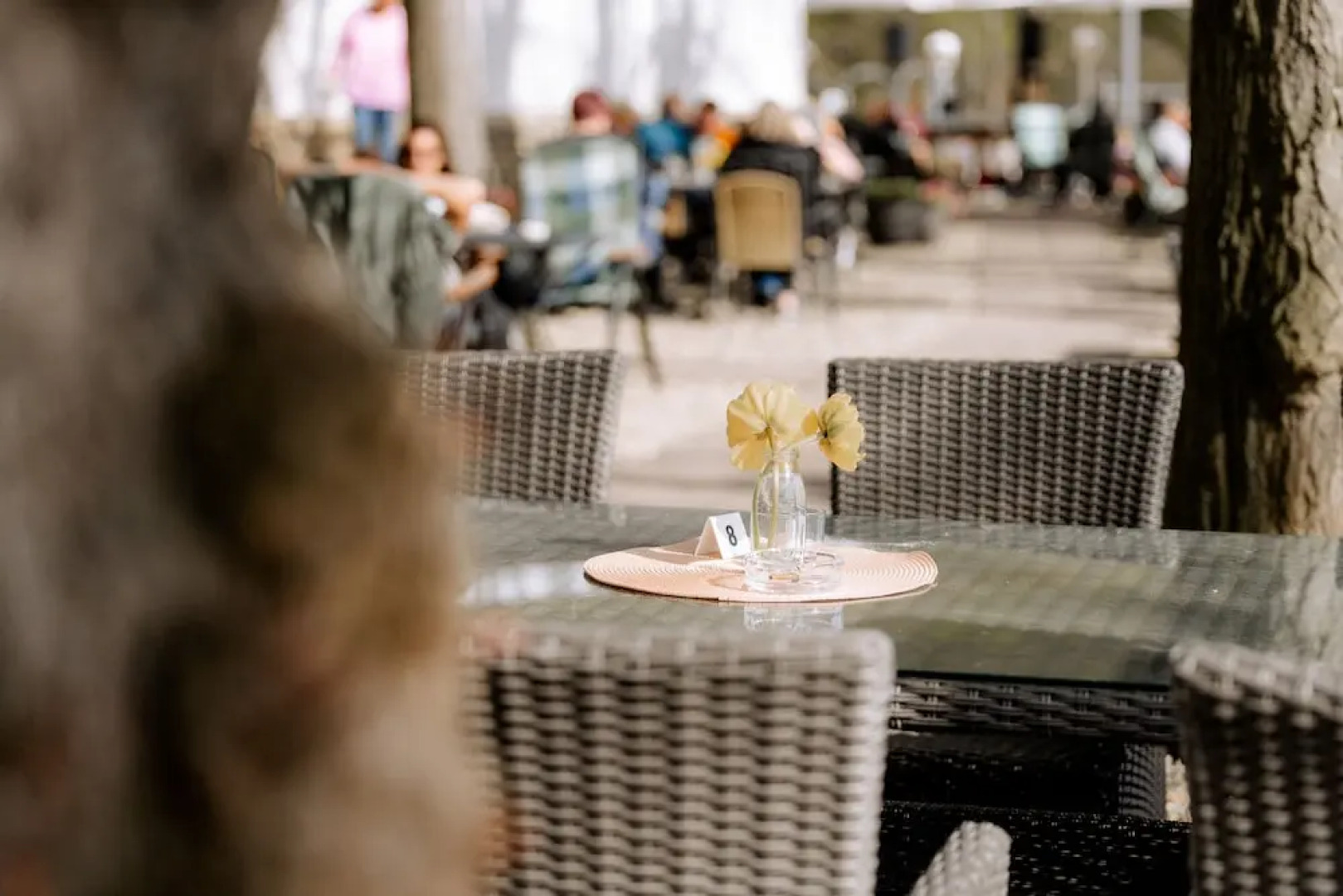 Terrassenhotel Seepromenade