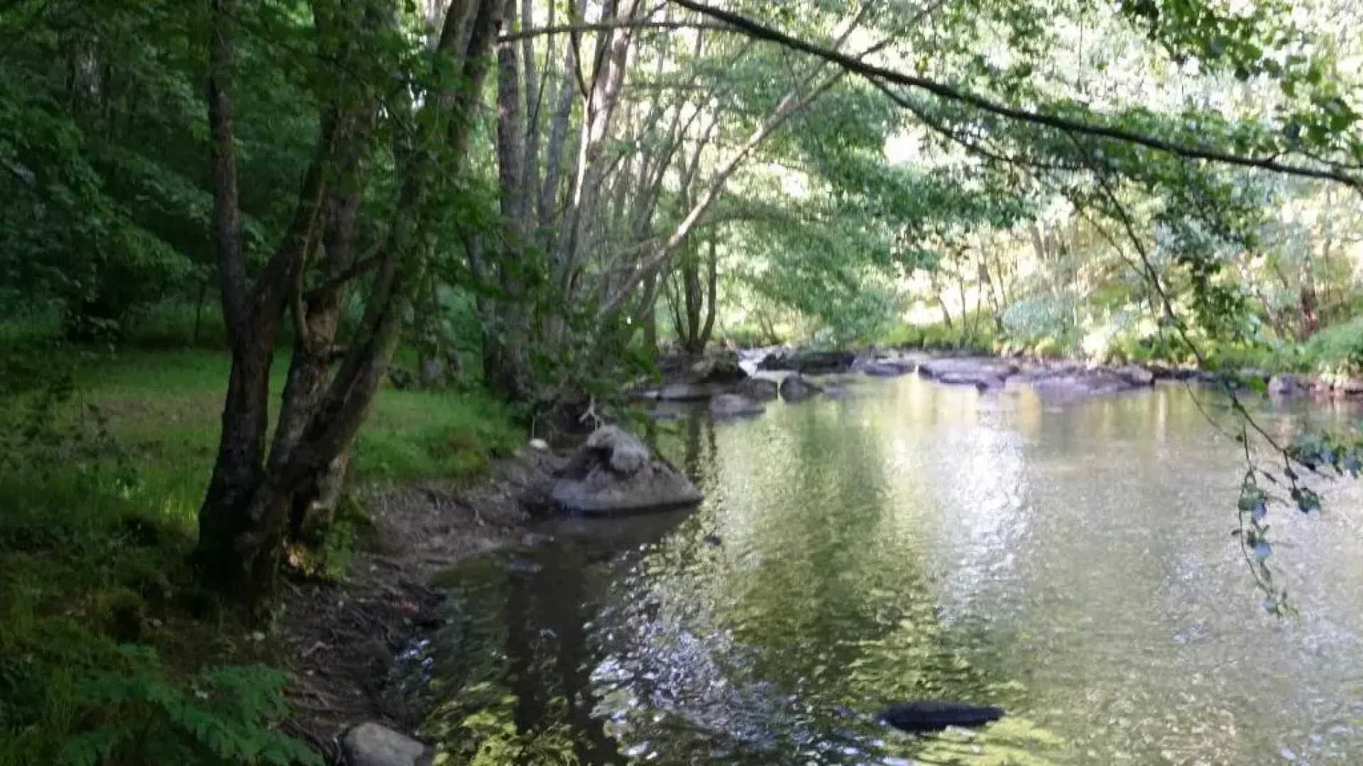 Gîtes LES Fougeres DU LAC