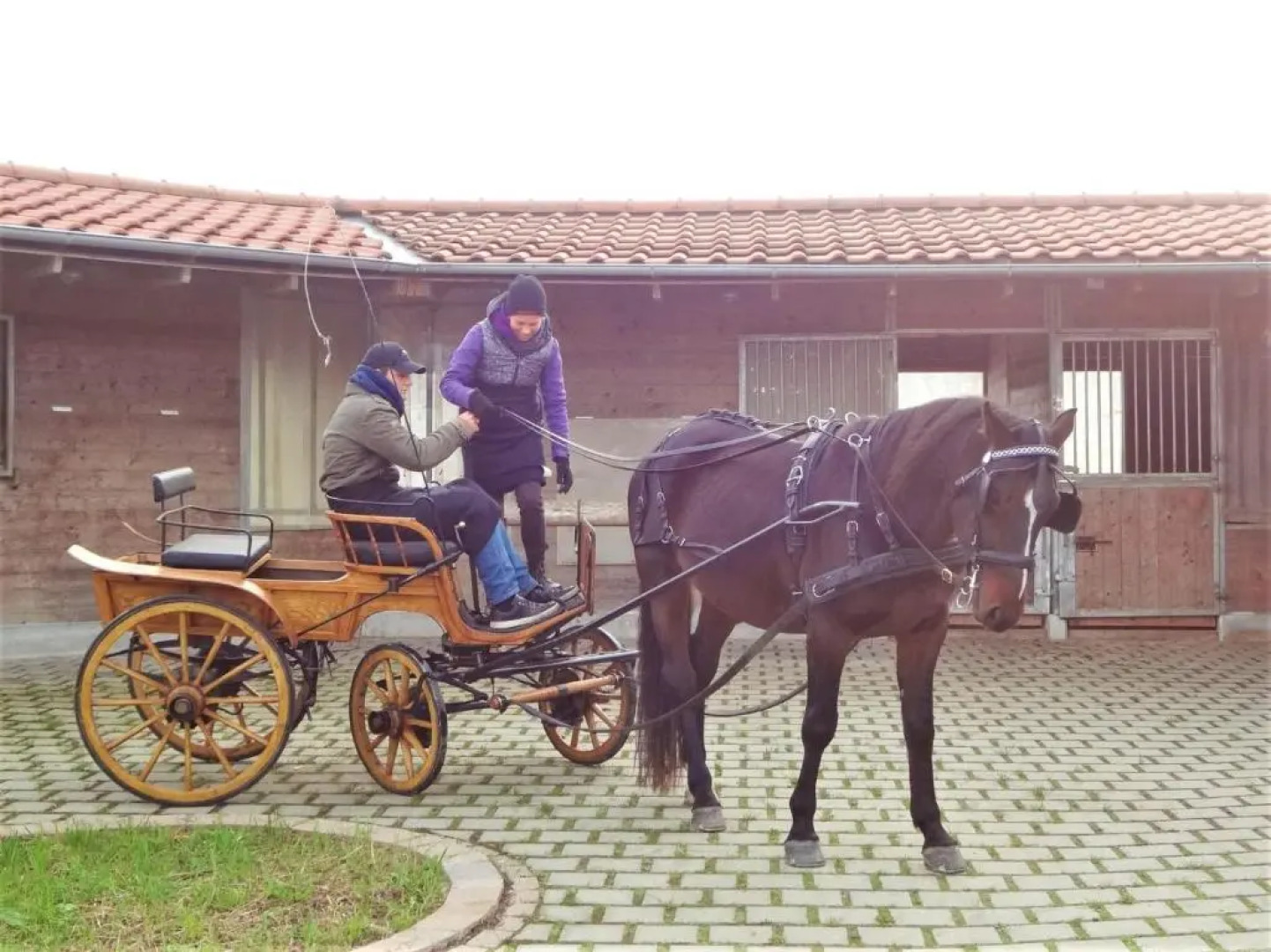 Bio Archehof Zachhiesen