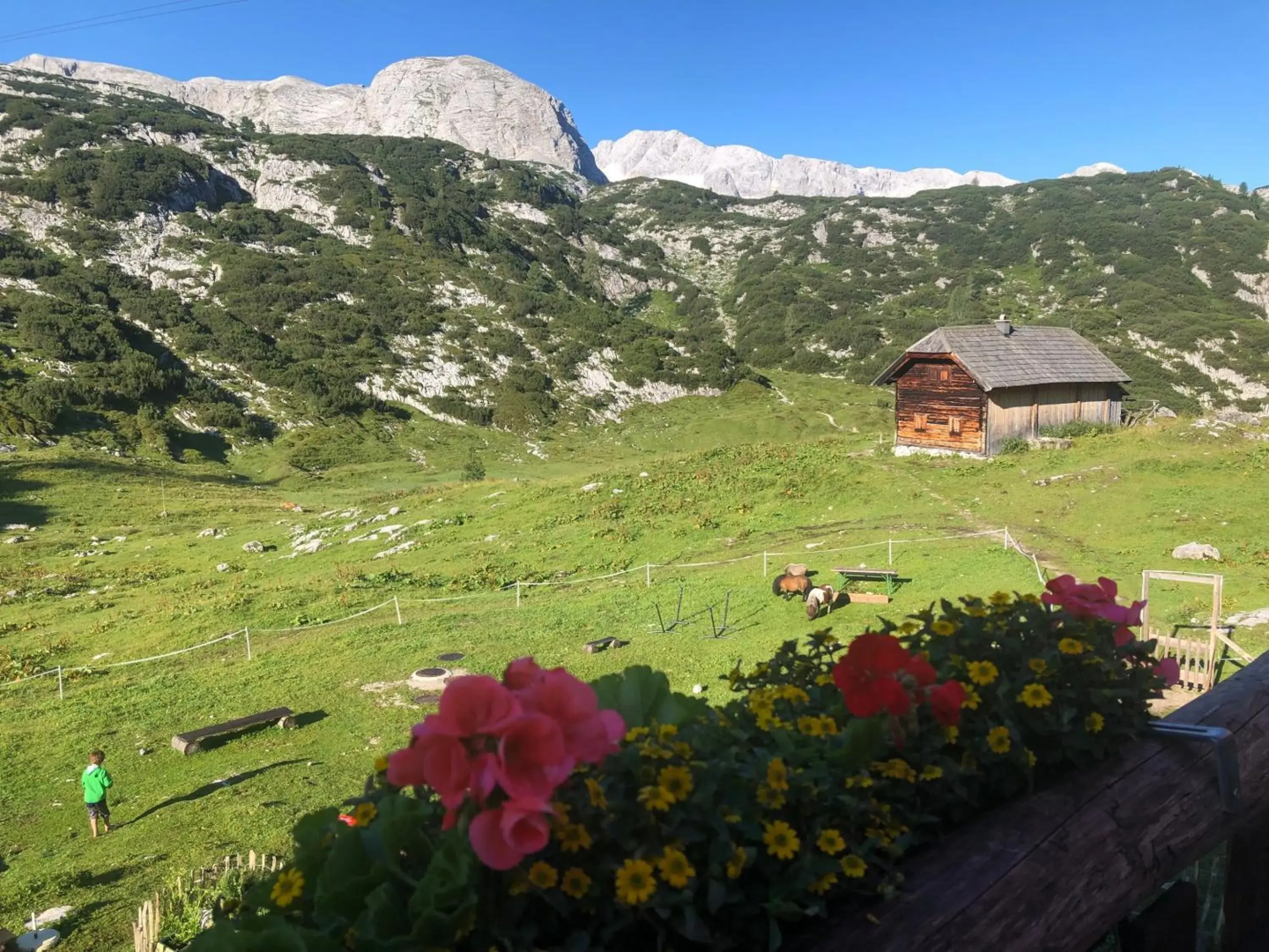 Gjaid Alm