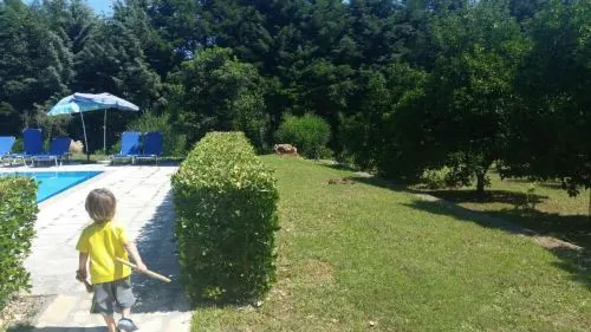 Lemontree Apartments