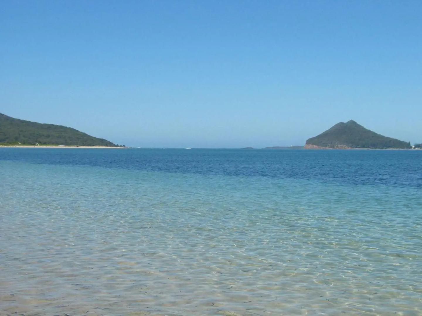 Pet Friendly on Pelican - Close to Myall River