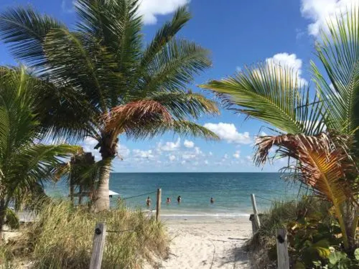 Beach Haus Key Biscayne Contemporary Apartments