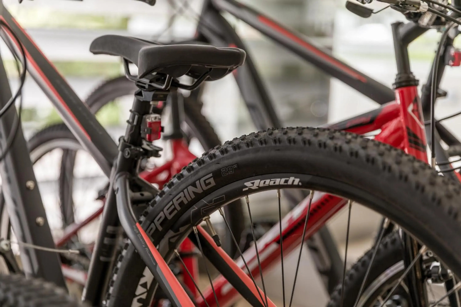 Hotel Do Parque - Congress & SPA