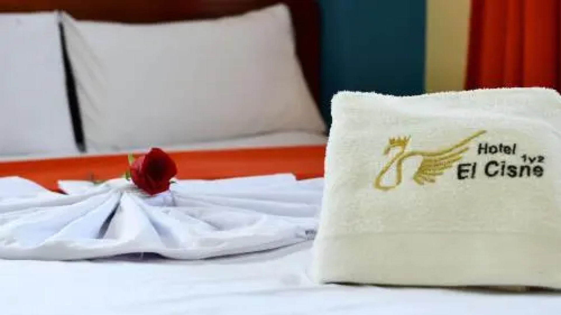 Hotel El Cisne 1