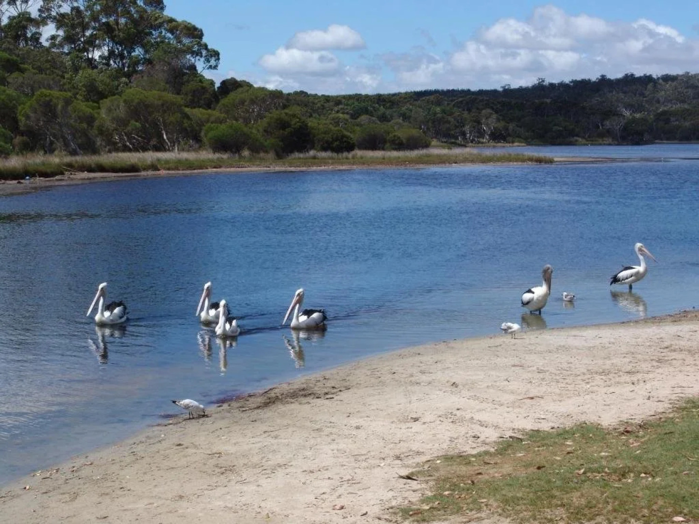 Cinnamon Coloureds Farm Cottages