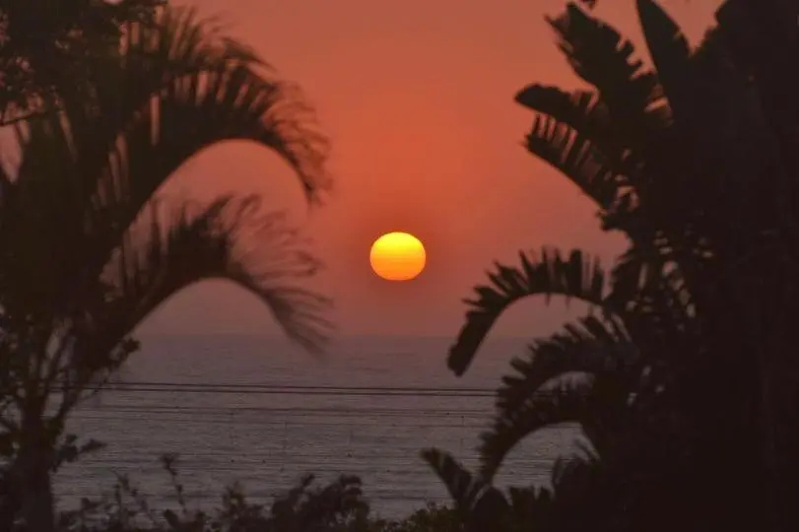 The Blue Shark Ocean View Studio