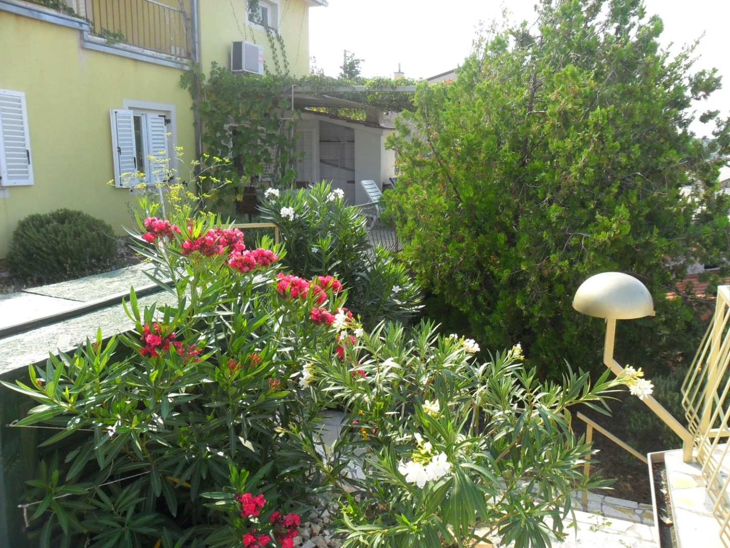Studio apartment Zlato - with pool : SA5 Maslina  Senj, Riviera Senj
