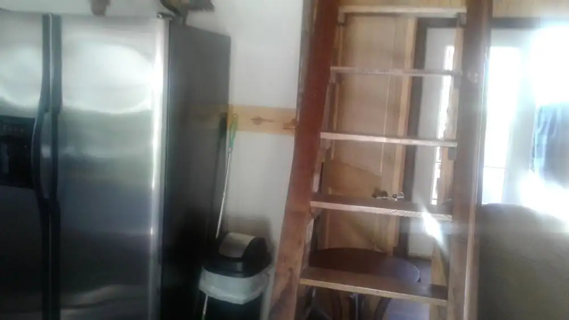 Tranquil Waters Cabin