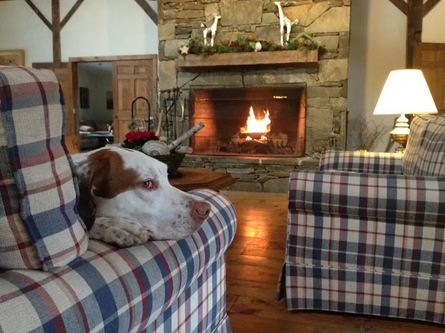 The Inn at Willow Pond