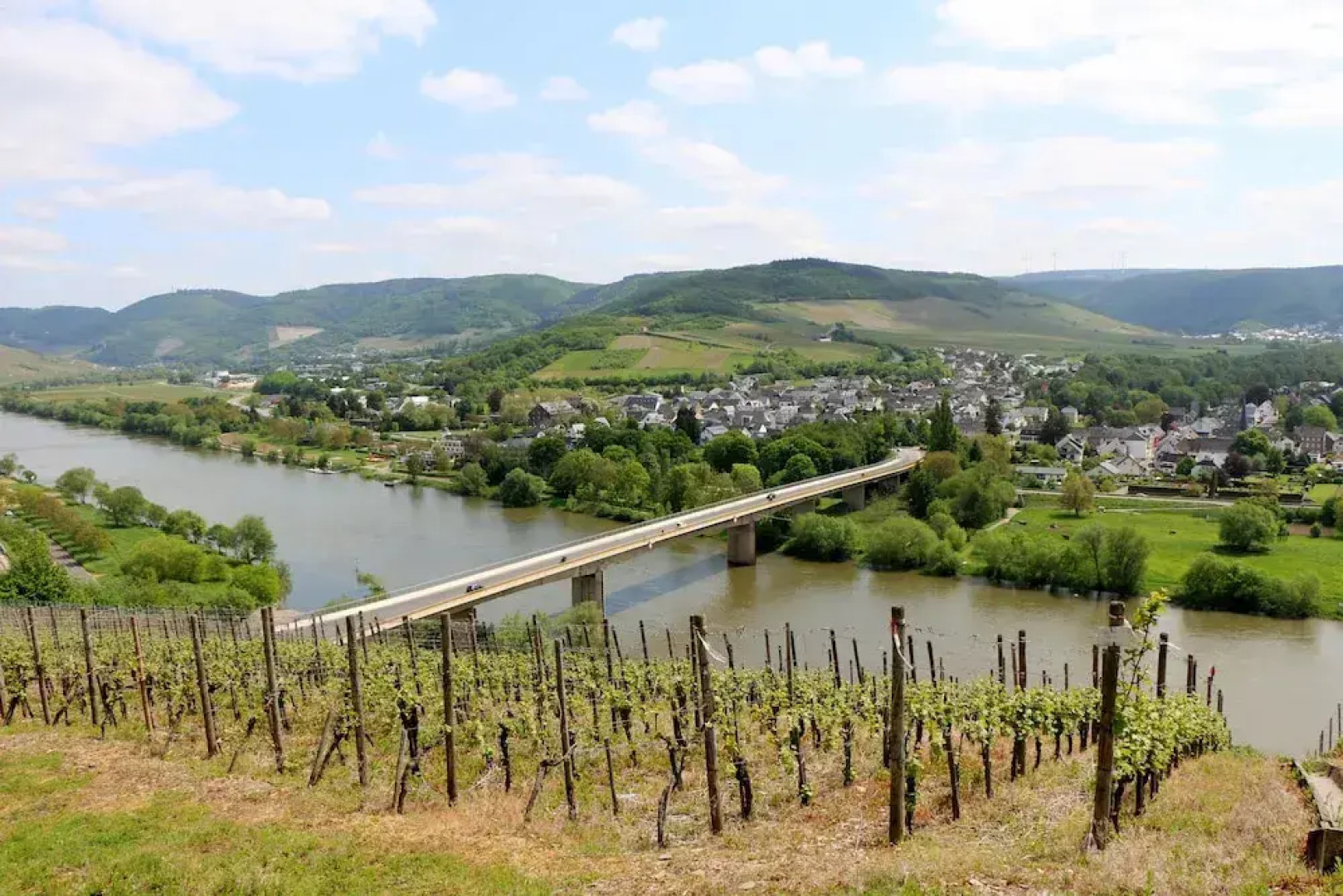 Wellness- & Genusshotel Weisser Bär