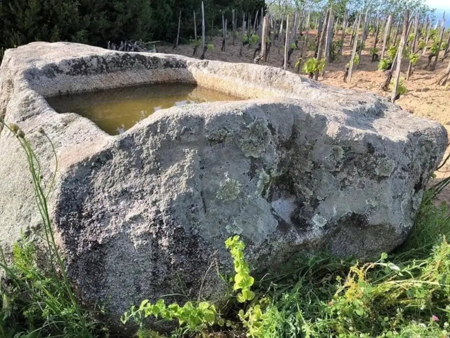 Appartamenti Santa Caterina