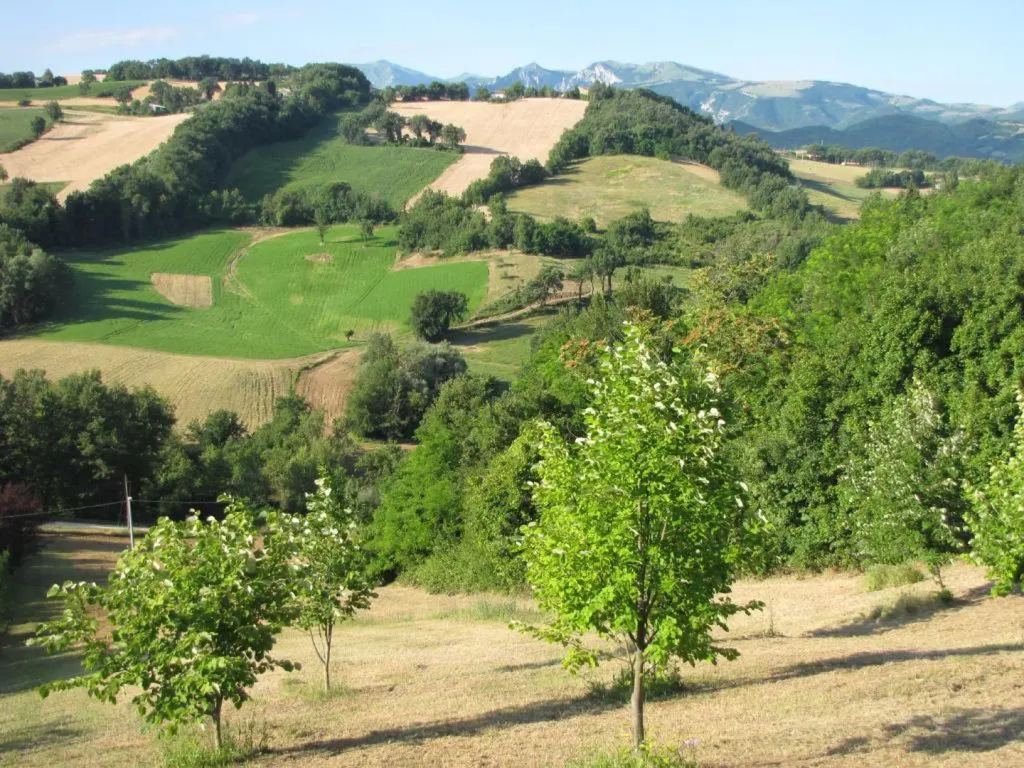 Agriturismo Al Respiro Nel Bosco