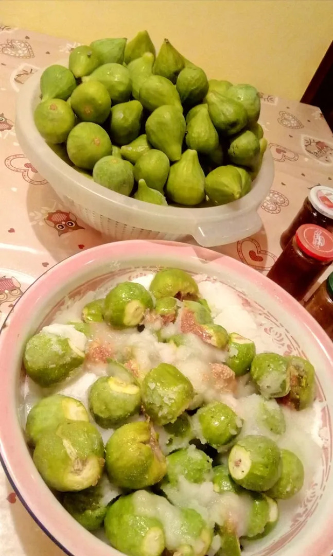 Studio In Castel Colonna With Wonderful Sea View Private Pool Enclosed Garden 10 Km From The Beach