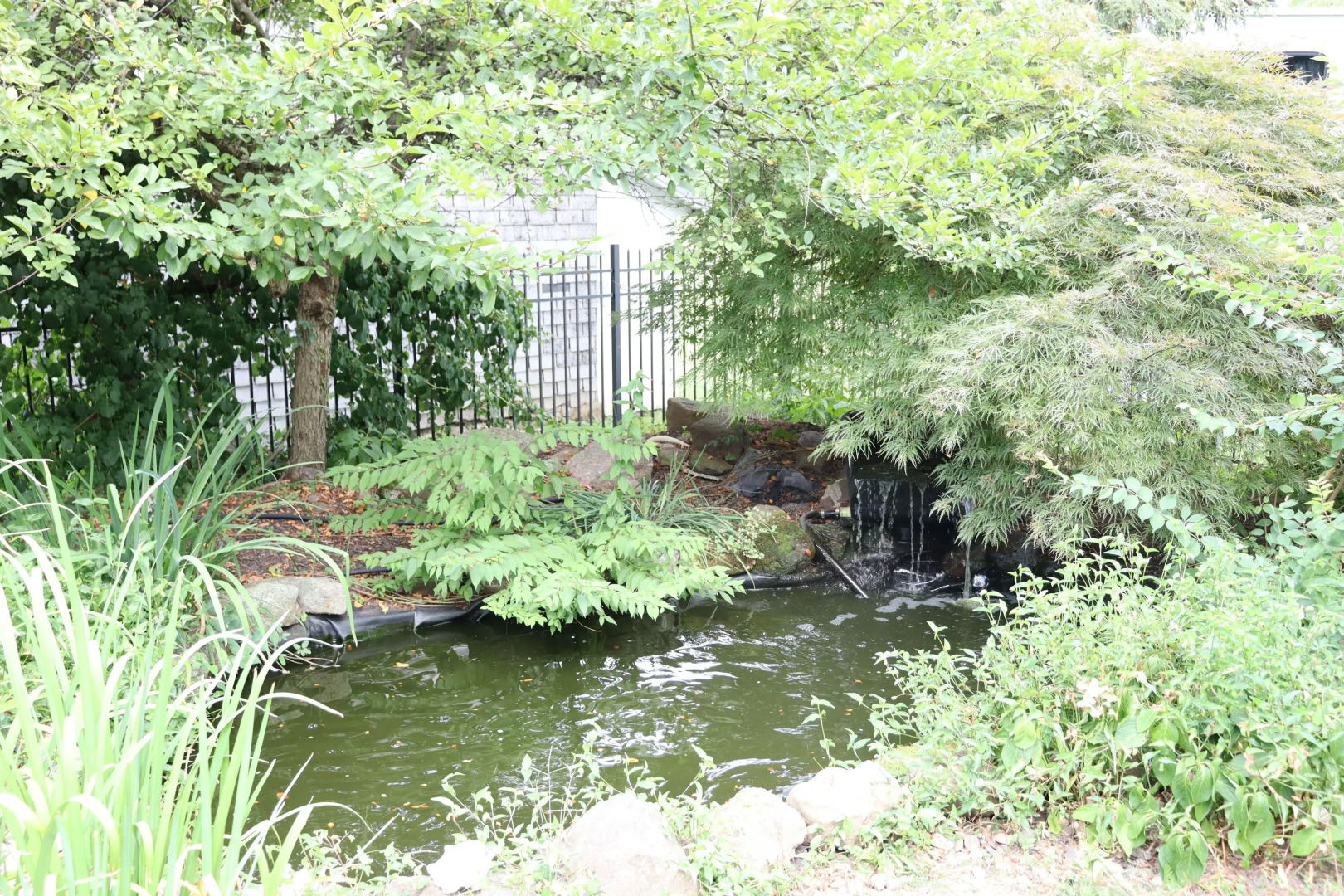 VAAST Bed & Breakfast