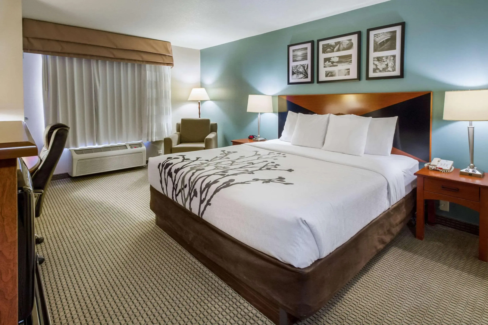 Sleep Inn And Suites Rapid City