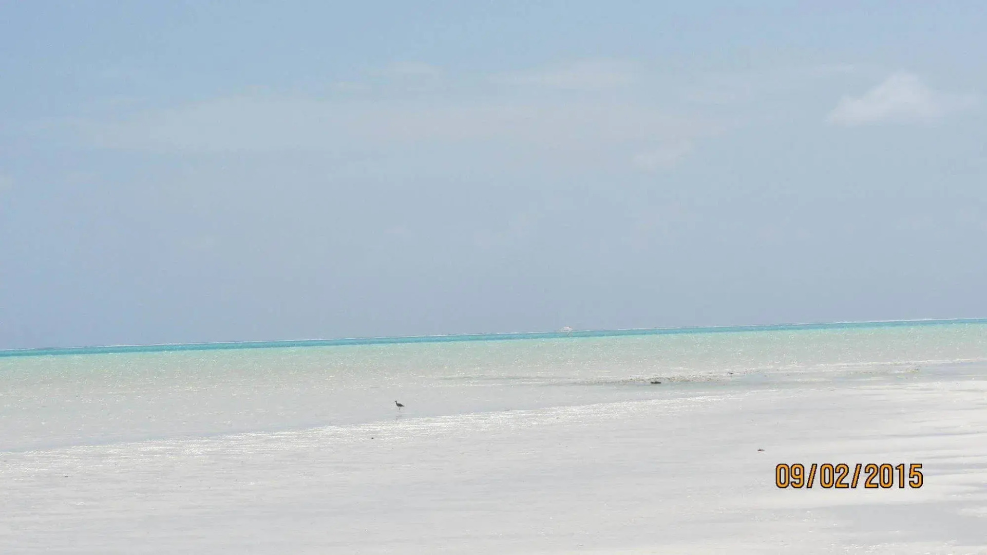 Zanzest Beach Bungalows