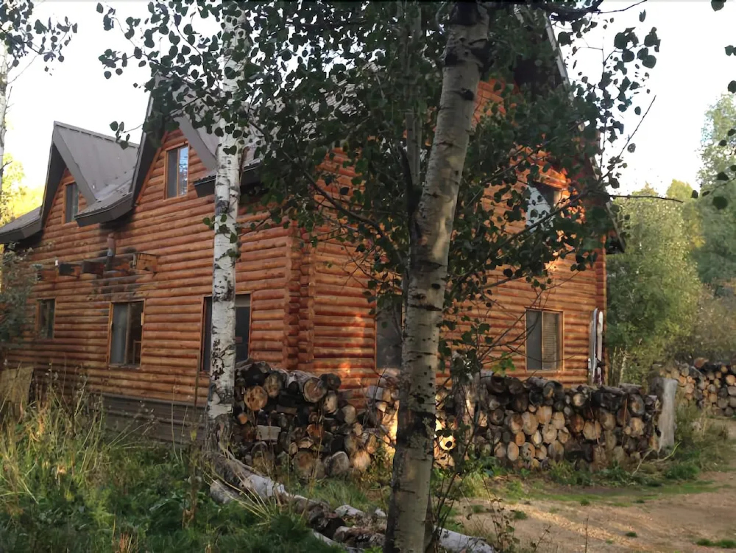 The Aspen Moose Vacation Cabin