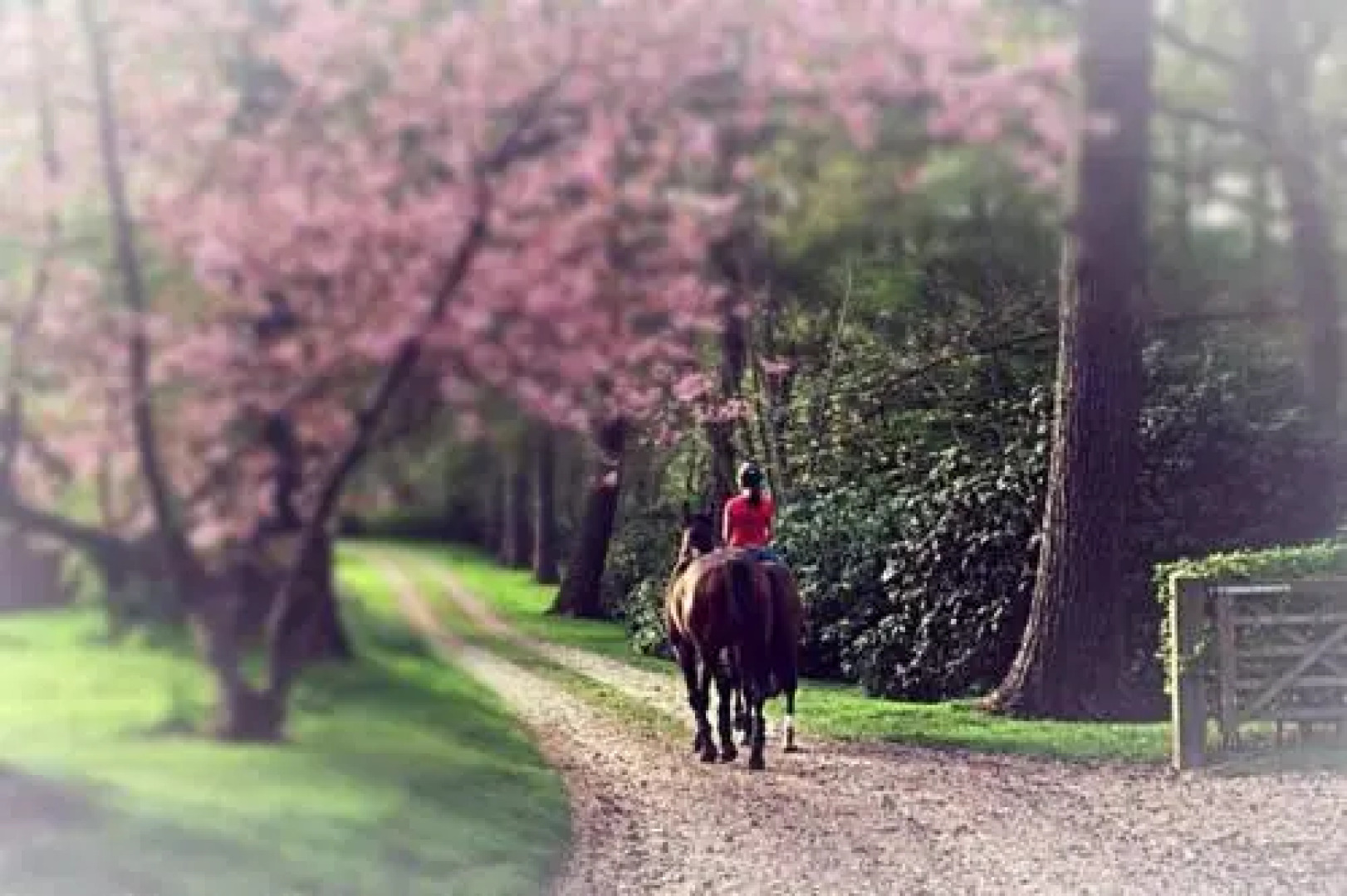 The Old Rectory of St James