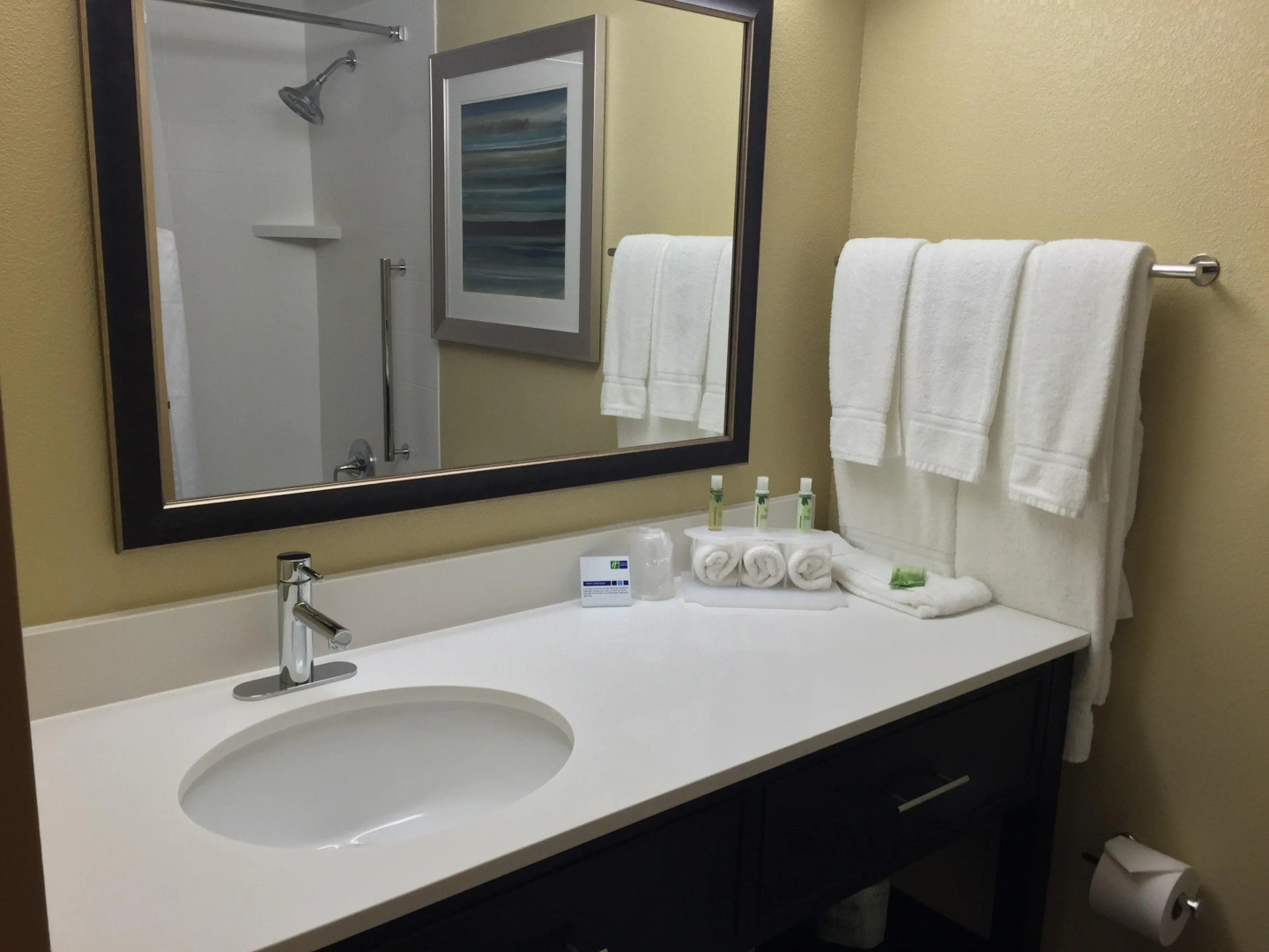 Holiday Inn Express Chicago NW - Arlington Heights by IHG