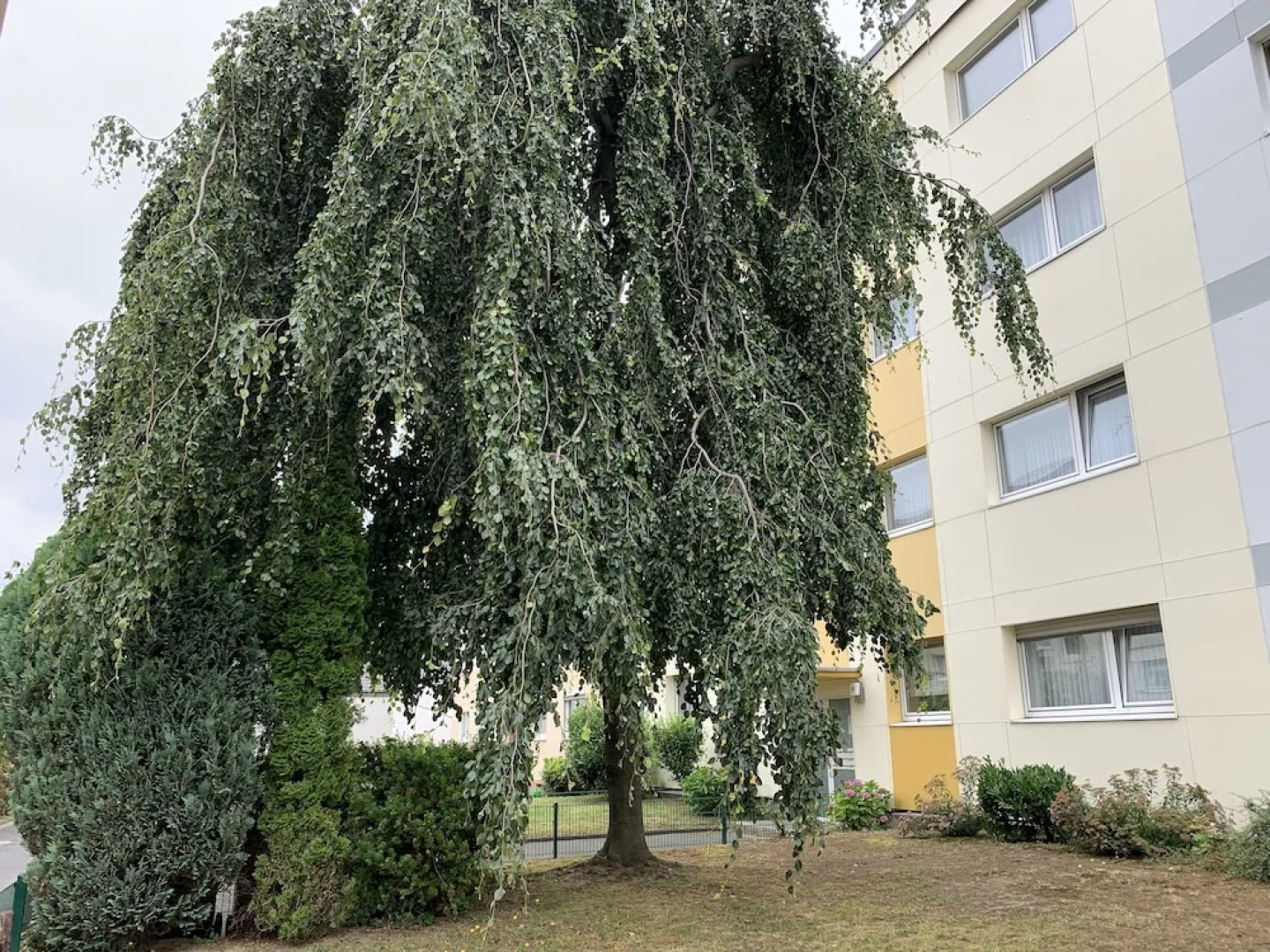 Airport Apartment Köln/Bonn