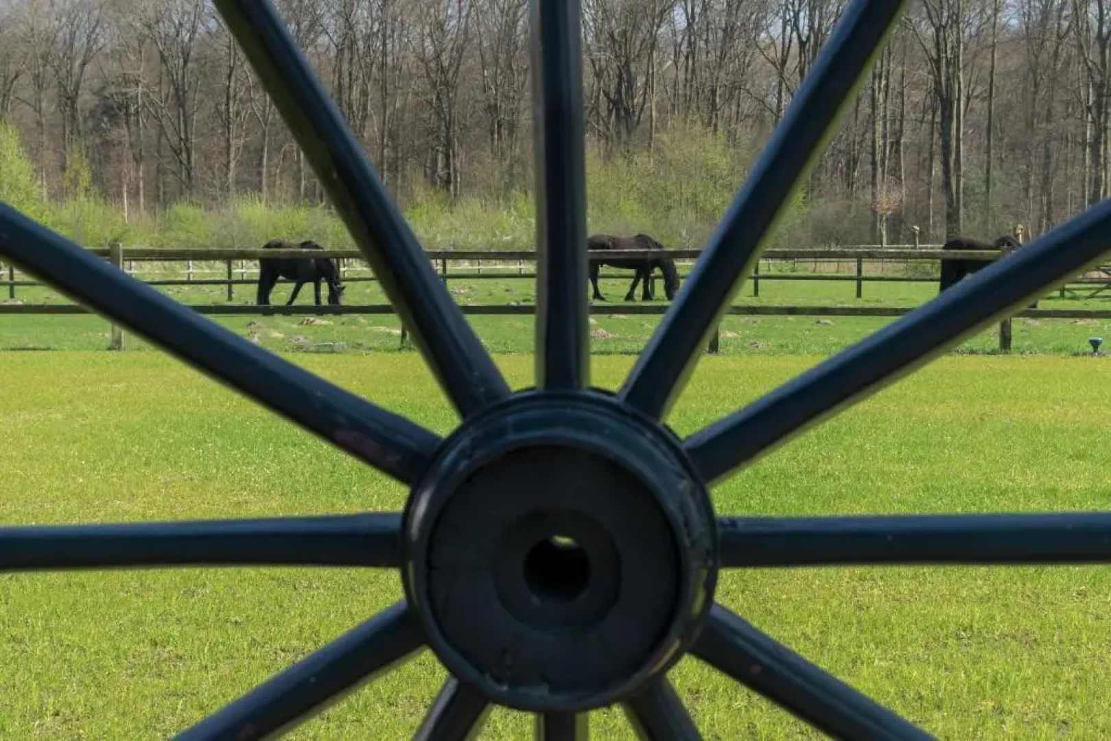 Recreatieoord Hippique