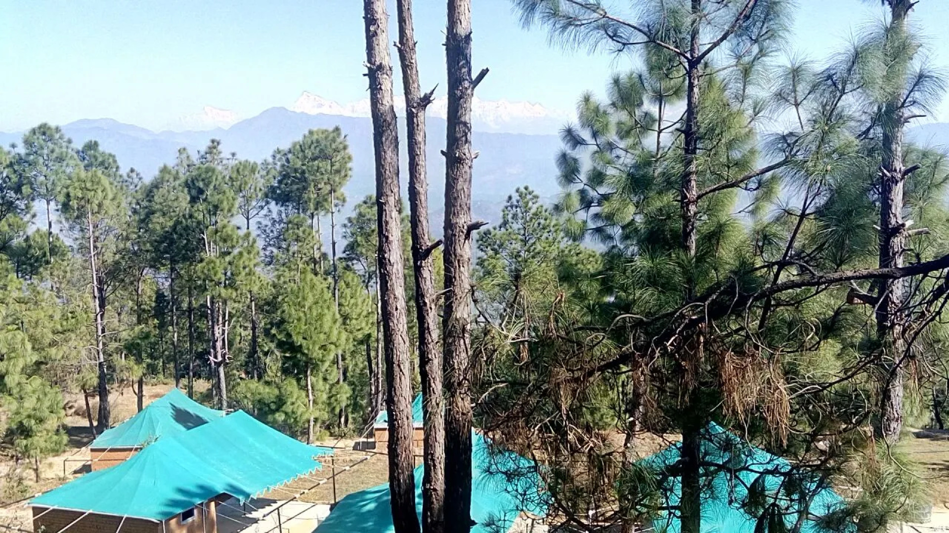 Bay Berry Camp & Resort