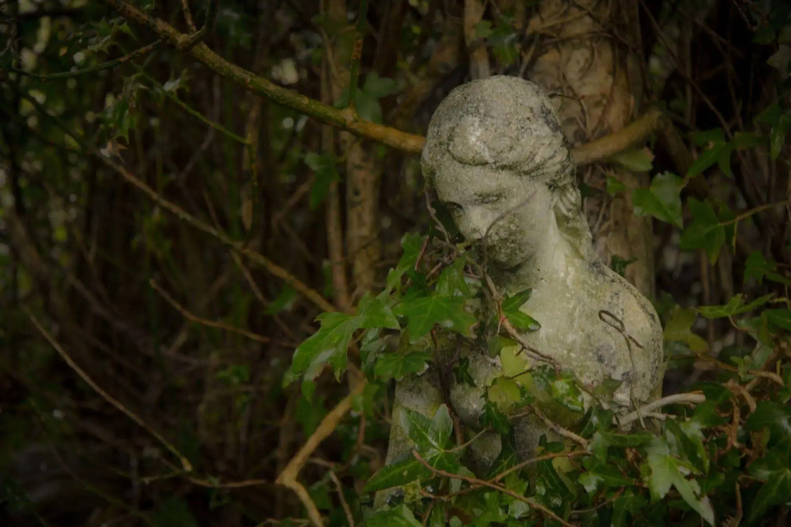 The Waters Country House