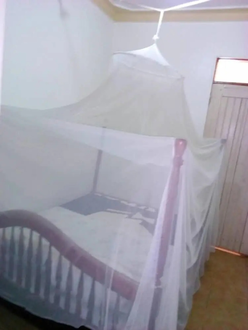 Rena Akasha Establishments