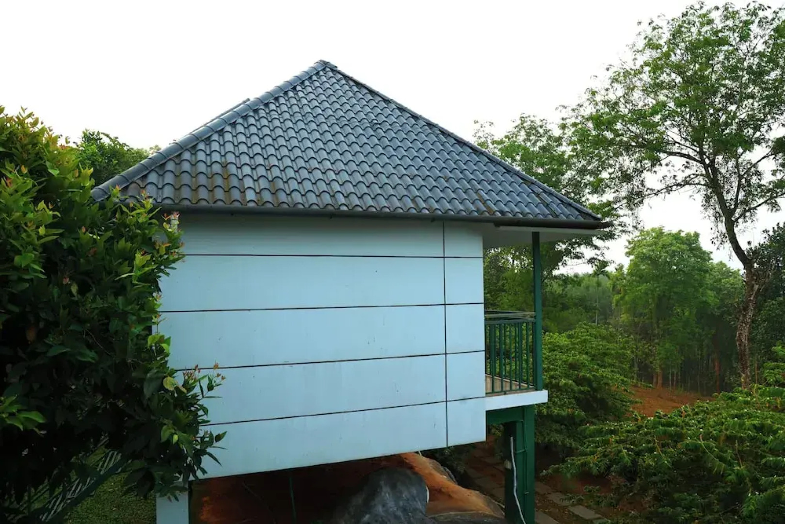 Wayanad Cave N Pillar Resort