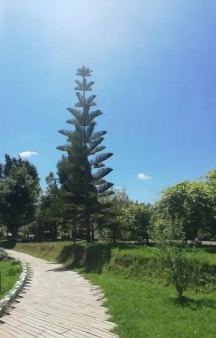 Posada Torre del Milano