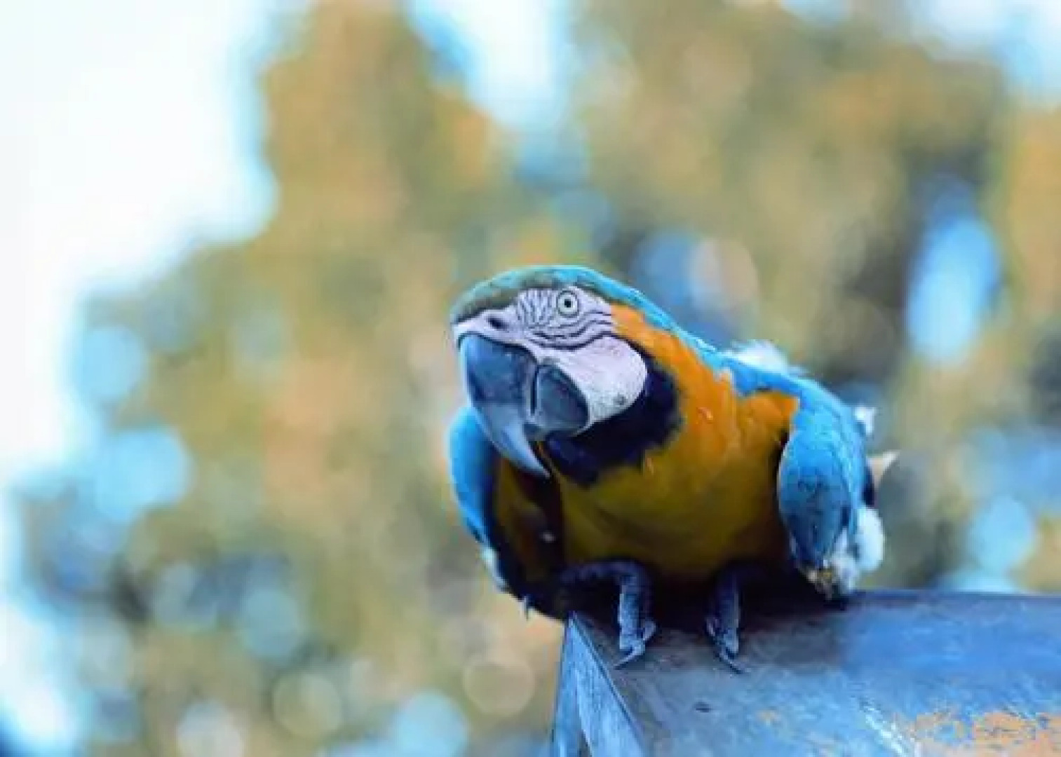 Hotel Vale do Jiquiriçá