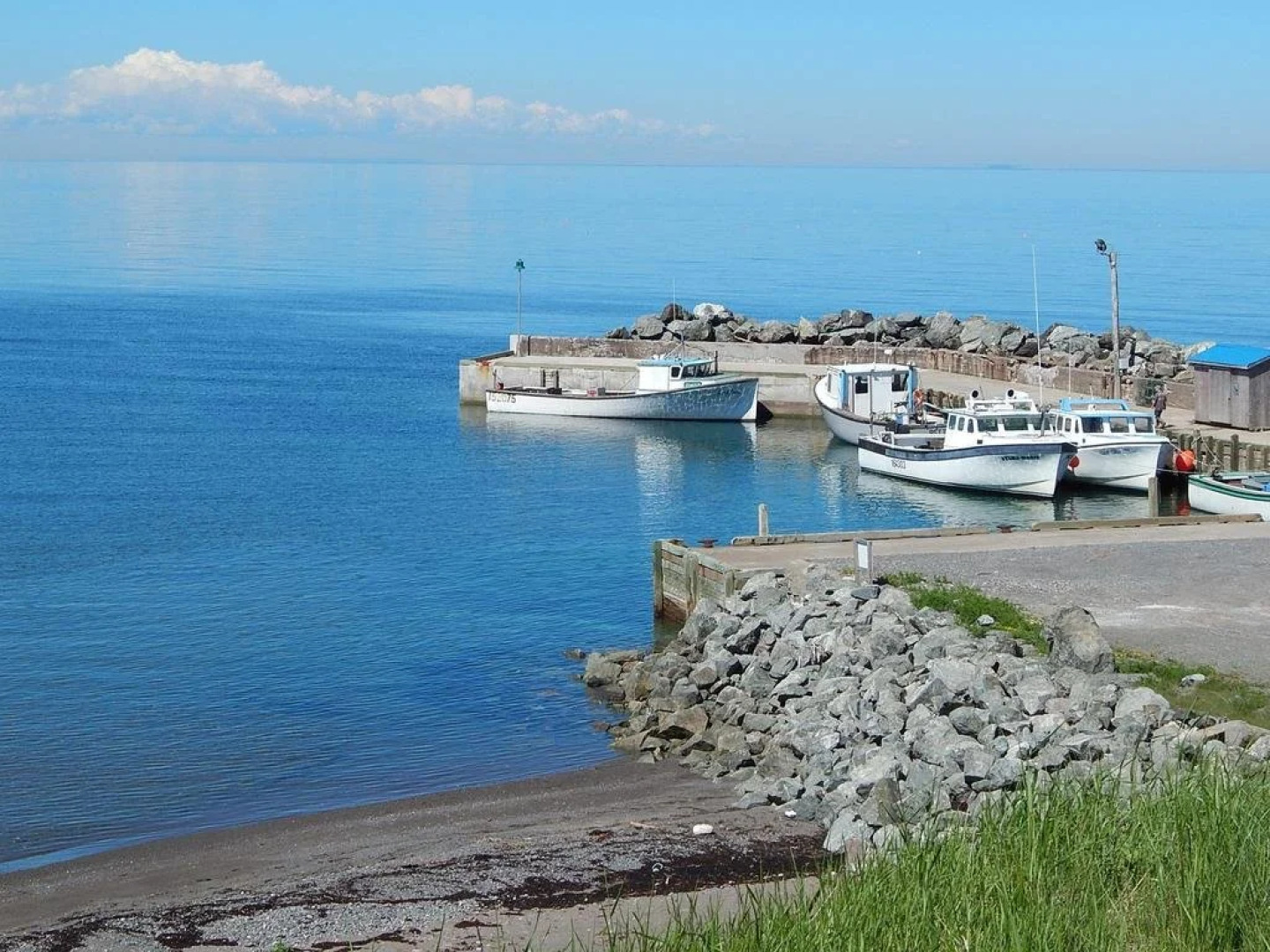 Blue Tin Roof Bed & Breakfast