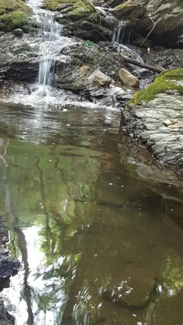 Casa rural Les Flors