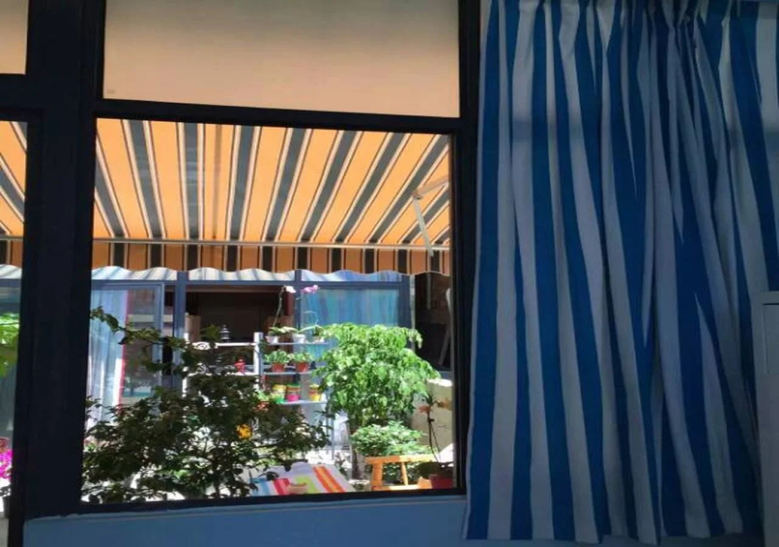 Chengdu Panda Story Youth Hostel