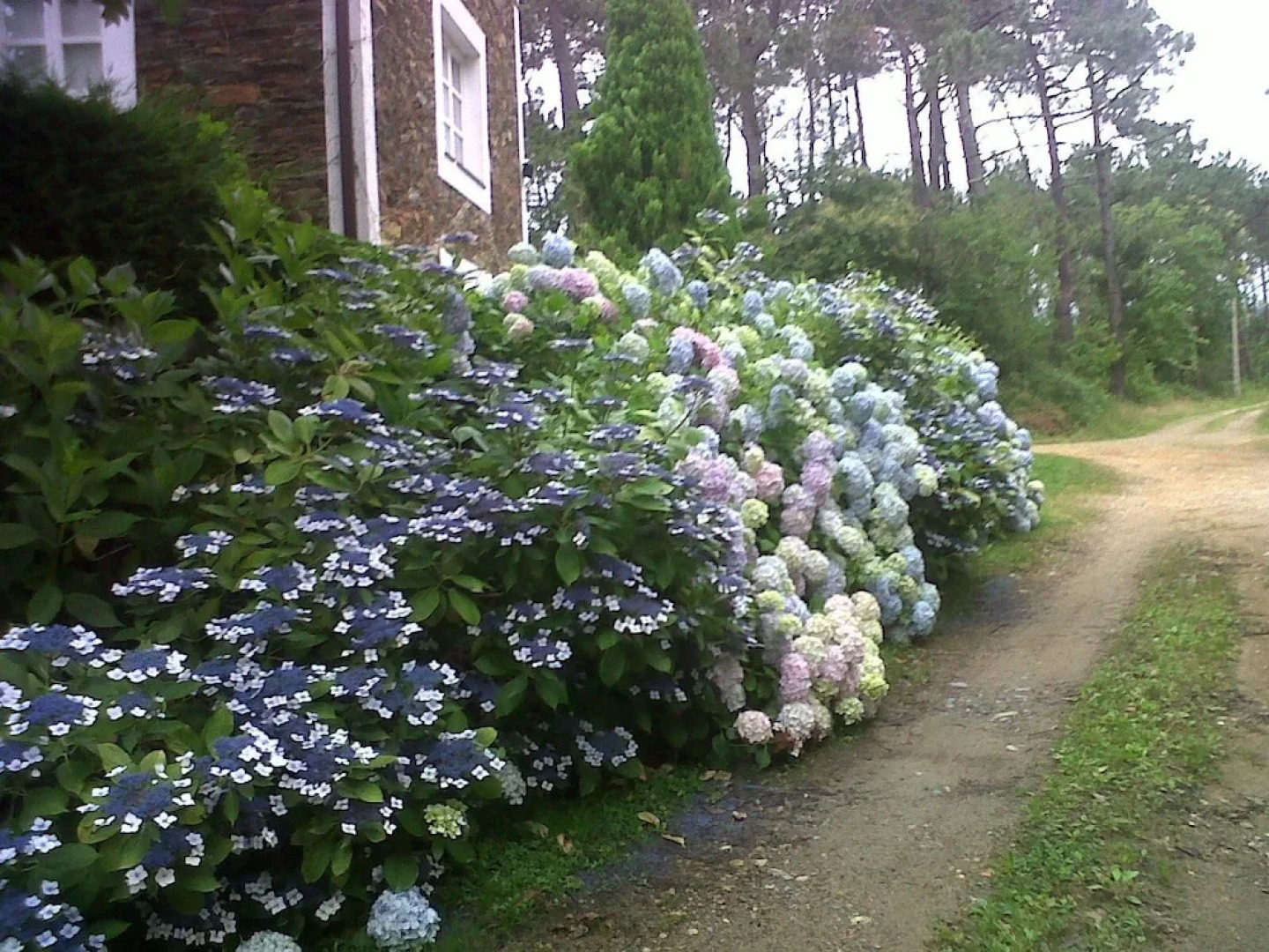 Hotel rural La Casa del Burrero