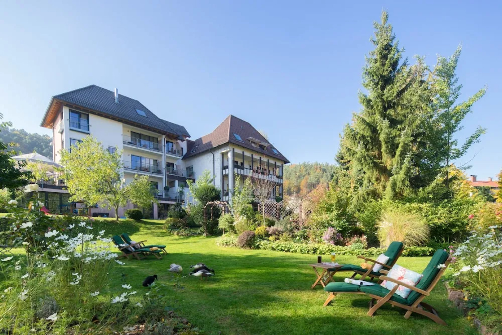 Land-gut-Hotel Felsentor