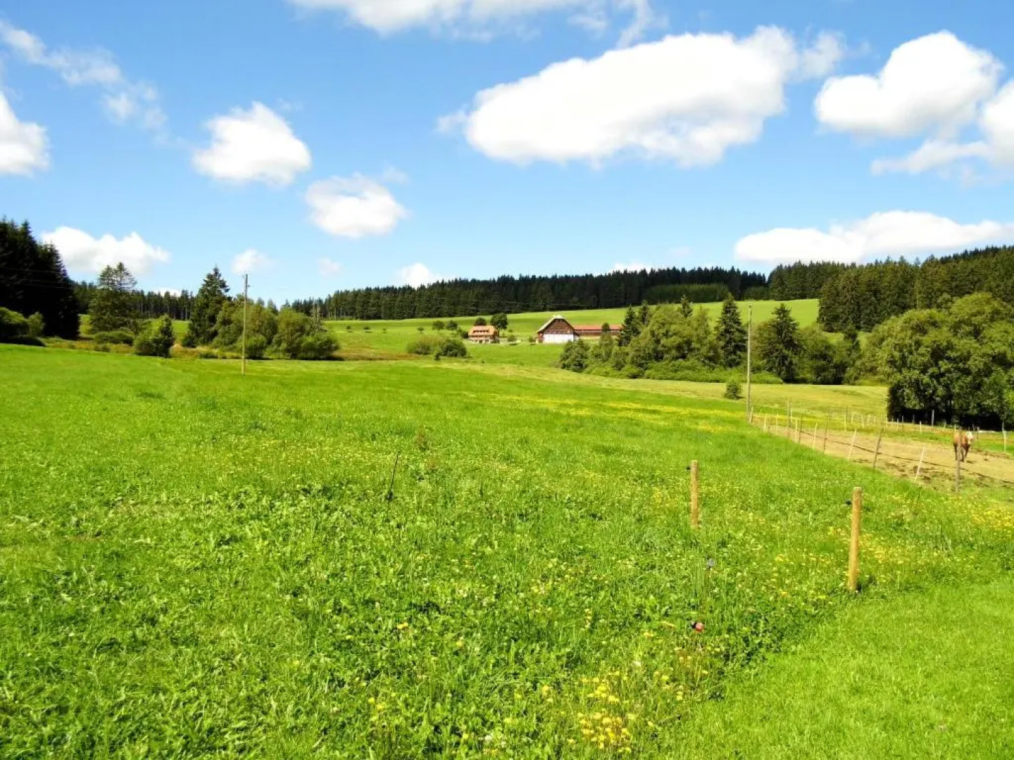 Ferienwohnung Schwarzwaldhof