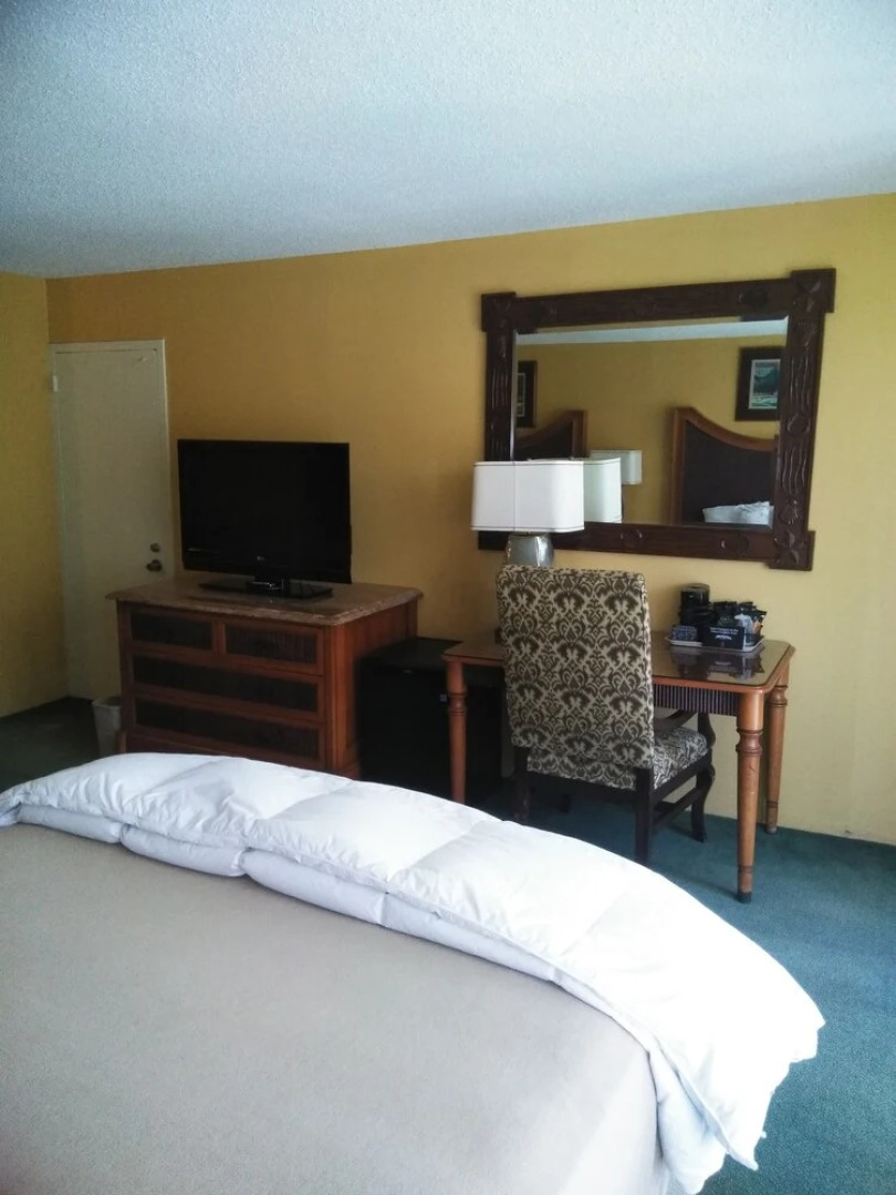 Springs Hotel and Spa