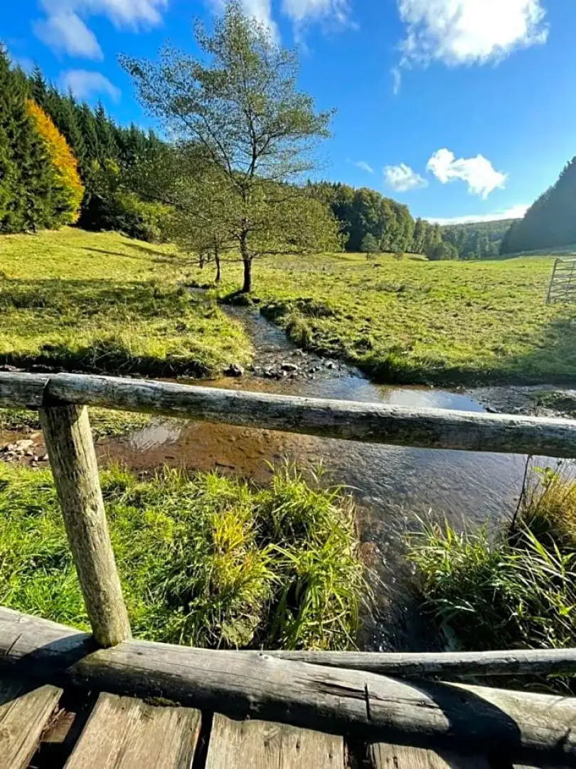 Waldschlosschen Brotterode