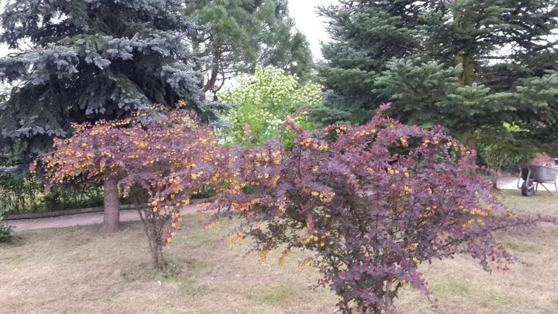 Grand Astra Resort Hotel