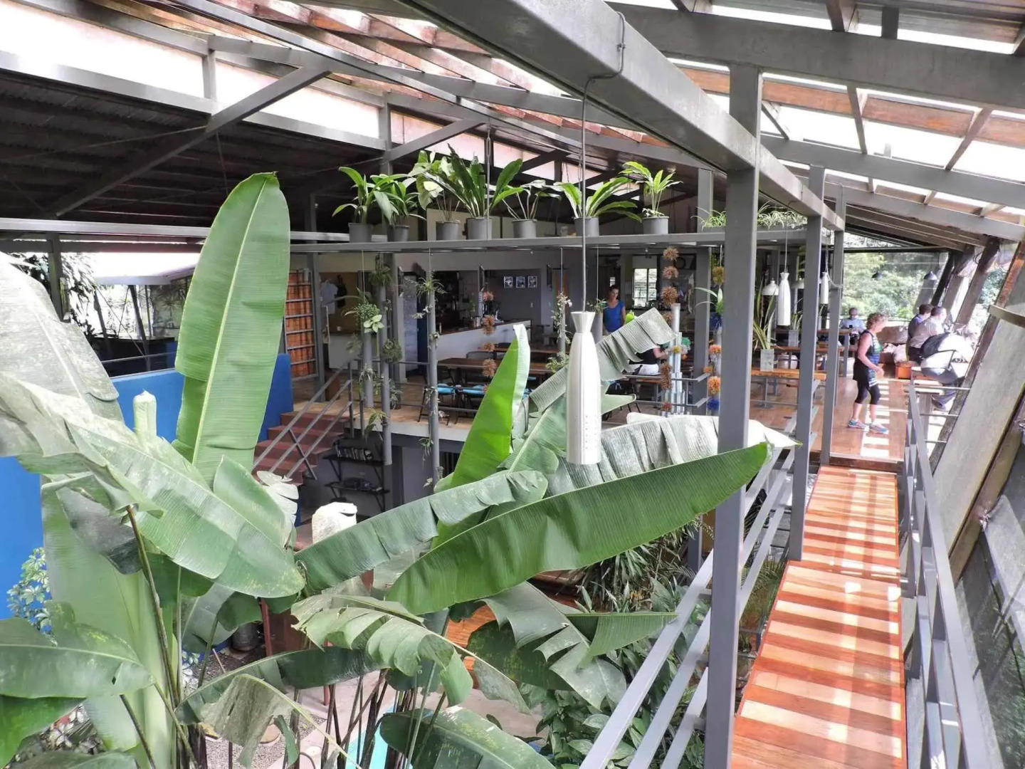 Celeste Mountain Lodge