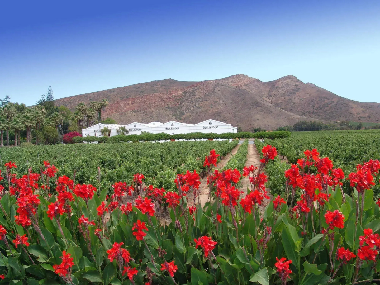 GUBAS DE HOEK meet eat sleep