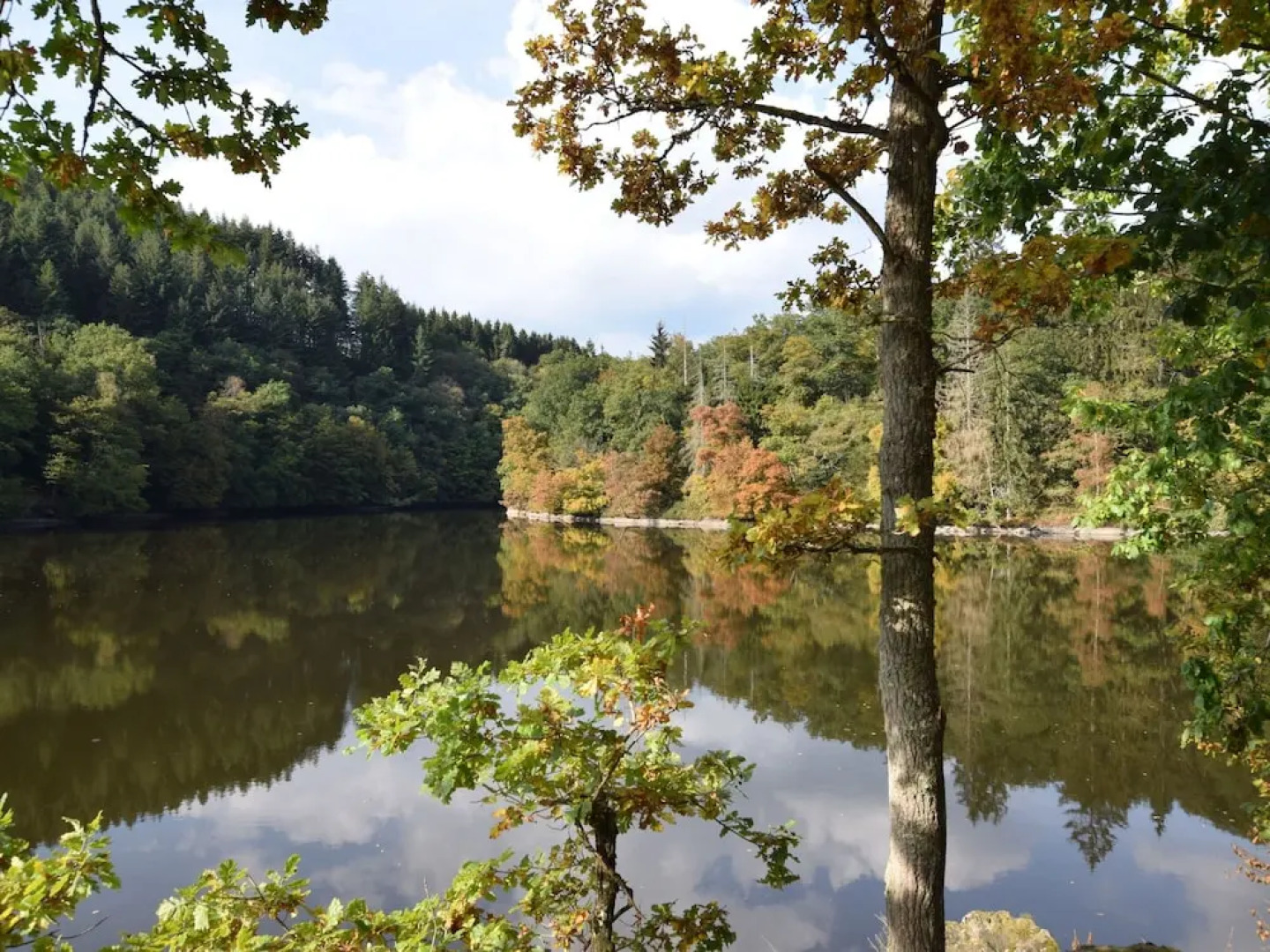 Vintage Holiday Home in Couvin near River