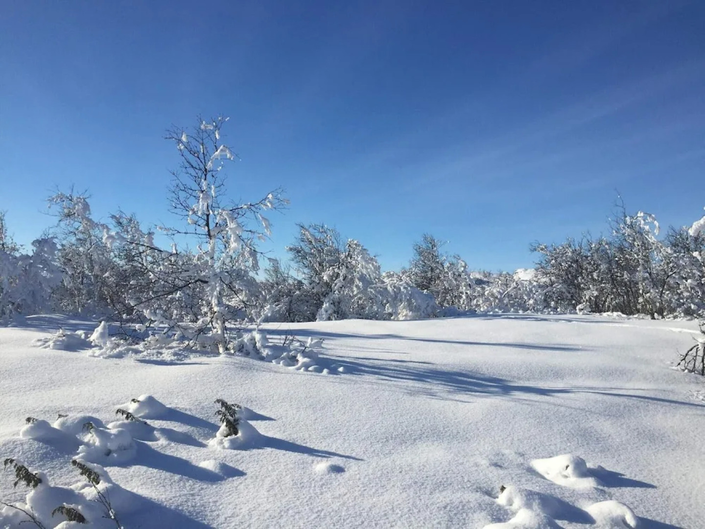 4 Person Holiday Home in Geilo-by Traum