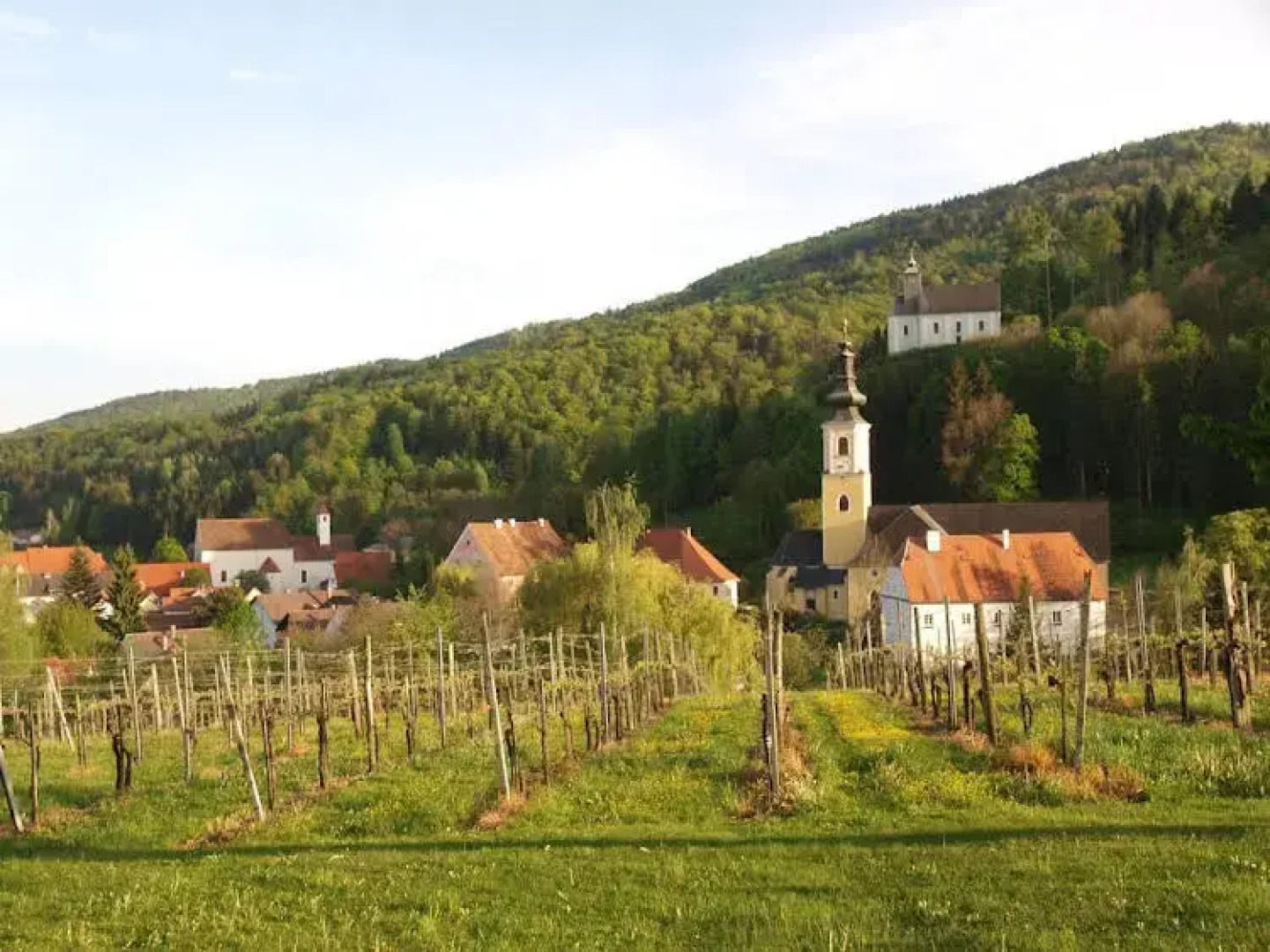 Hotel Restaurant zum Schwan