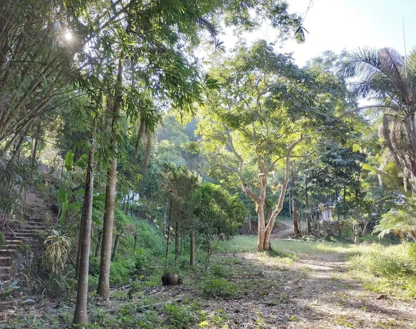 Farmstay at Pha Ma Chiangrai